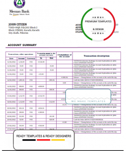 Pakistan Meezan bank statement template in Word and PDF format
