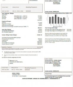 Czech Republic Nanosun s.r.o utility bill template in Word and PDF format