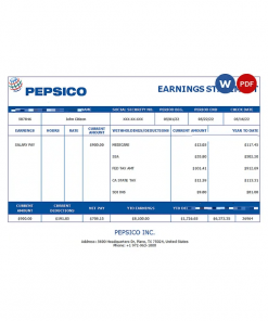 USA Pepsico Inc. drink producing company pay stub Word and PDF template