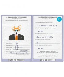 Somalia dog (animal, pet) passport PSD template, fully editable