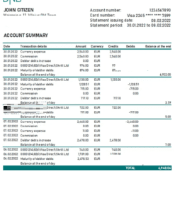 Lithuania DNB bank statement Excel and PDF template