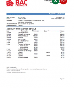 Nicaragua BAC Credomatic bank statement Excel and PDF template
