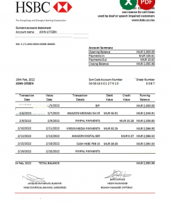 Mauritius HSBC bank statement Excel and PDF template