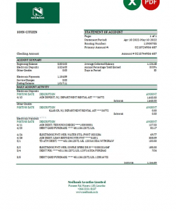 Lesotho Nedbaank bank statement Excel and PDF template