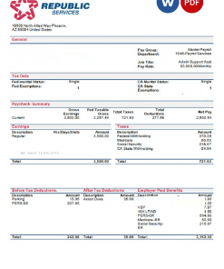 USA Republic Services waste management company pay stub Word and PDF template