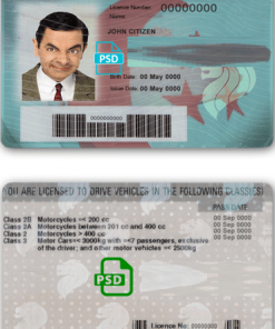 Singapore driving license template in PSD format, fully editable, with all fonts