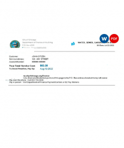USA Illinois Chicago water, sewer, garbage, tax bill Word and PDF template
