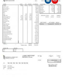 USA Maryland University of Maryland Medical Center pay stub Word and PDF template