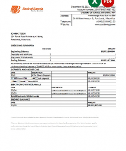 Mauritius Bank of Baroda bank statement Excel and PDF template