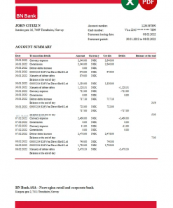 Norway BN Bank statement Excel and PDF template