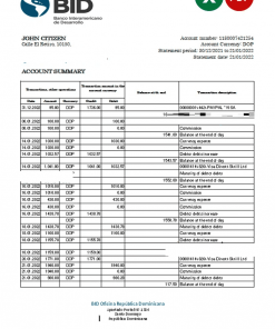 Dominican Republic Bid bank statement Excel and PDF template