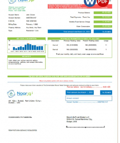 UAE Noor Life Pure Water LLC utility bill template in Word and PDF format