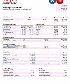 USA clothing company earning statement template in Word and PDF format