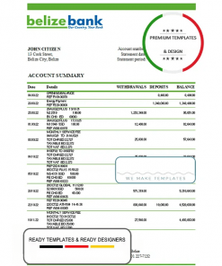 Belize bank statement template in Excel and PDF format, fully editable