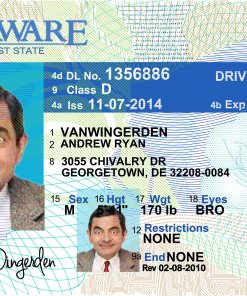 Delaware Driver License Template V2