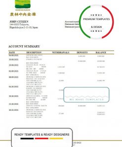 Japan Norinchukin bank statement template in Word and PDF format