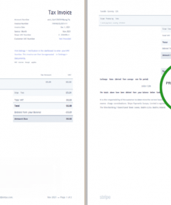 USA Stripe invoice template in Word and PDF format, fully editable