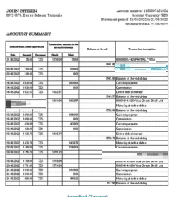 Tanzania Access bank statement, Excel and PDF template