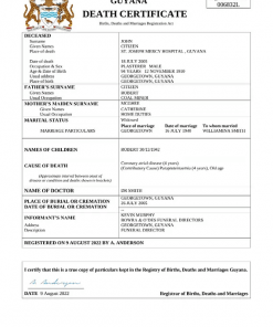 Guyana death certificate Word and PDF template, completely editable