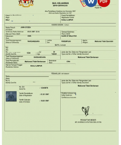 Malaysia birth certificate Word and PDF template, completely editable