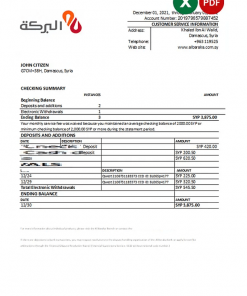 Syria Al Baraka bank statement, Excel and PDF template