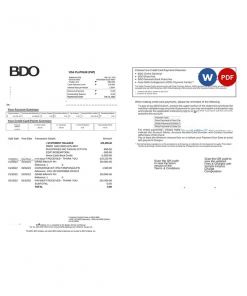 Philippines BDO bank credit card statement in Word and PDF format, 2 pages