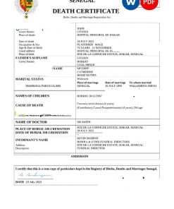 Senegal vital record death certificate Word and PDF template