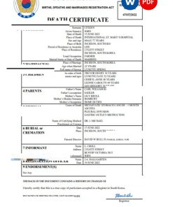 South Korea vital record death certificate Word and PDF template