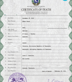 Venezuela vital record death certificate PSD template, fully editable