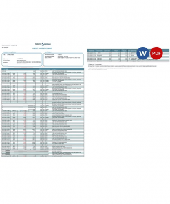 Turkey Bankasi bank statement, Word and PDF template, 2 pages