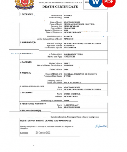 Singapore vital record death certificate Word and PDF template