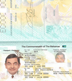 Passport