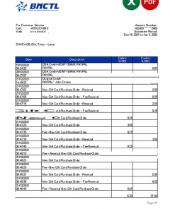 Timor-Leste BNCTL bank statement, Excel and PDF template