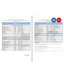 USA JP Morgan bank statement Word and PDF template, 2 pages, version 2