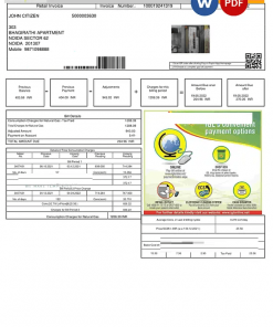 India INDRAPRASTHA GAS LIMITED utility bill template in Word and PDF format