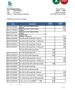 Zimbabwe Standard Chartered bank statement, Excel and PDF template