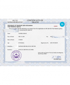 Brunei vital record death certificate PSD template, fully editable