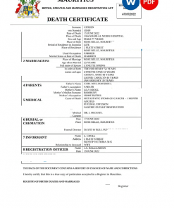 Mauritius death certificate Word and PDF template, completely editable
