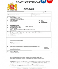 Georgia vital record death certificate Word and PDF template