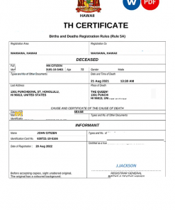 Hawaii death certificate Word and PDF template, completely editable