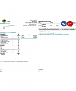 South Africa First National Bank (FNB) bank statement, Word and PDF template, 2 pages