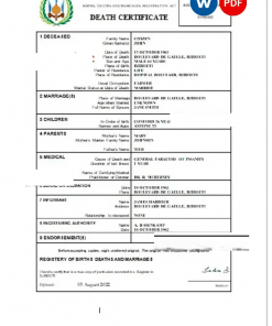 Djibouti death certificate Word and PDF template, completely editable