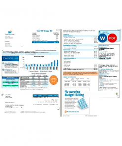 USA Arizona Tucson Electric Power (TEP) utility bill, Word and PDF template, 2 pages
