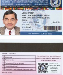 INTERNATIONAL driver's license PSD template, with fonts, version 2