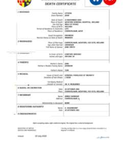 Ireland vital record death certificate Word and PDF template