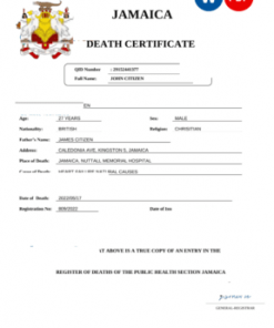 Jamaica vital record death certificate Word and PDF template