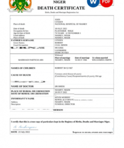 Niger death certificate Word and PDF template, completely editable