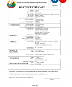 Laos vital record death certificate Word and PDF template