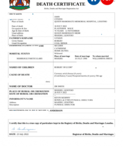 Lesotho vital record death certificate Word and PDF template