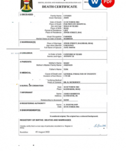 Iraq vital record death certificate Word and PDF template